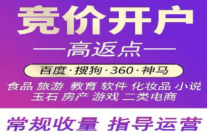 百度推广技巧分享：成功案例解析